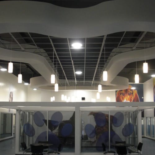 Interior shot of the Laurie P. Andrews PAWS Center