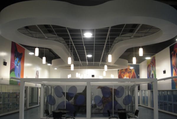 Interior shot of the Laurie P. Andrews PAWS Center